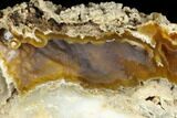 Agatized Fossil Coral Geode - Florida #188030-2